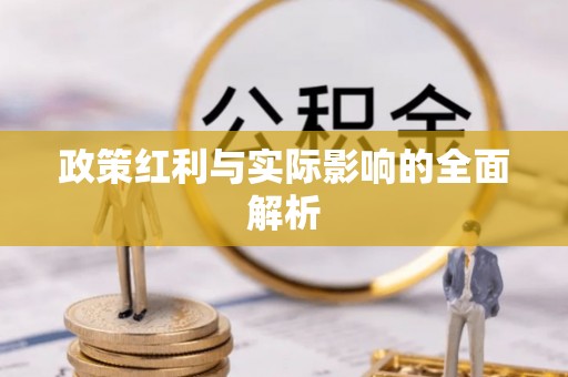 大雅政策红利与实际影响的全面解析