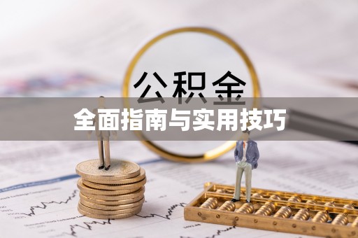 大雅全面指南与实用技巧
