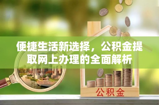 大雅便捷生活新选择，公积金提取网上办理的全面解析
