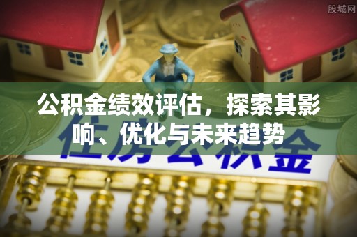大雅公积金绩效评估，探索其影响、优化与未来趋势