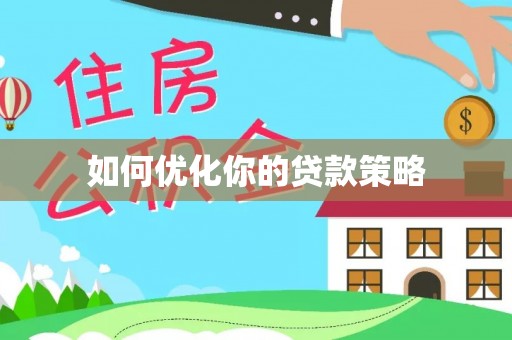 大雅如何优化你的贷款策略
