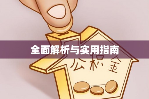 大雅全面解析与实用指南