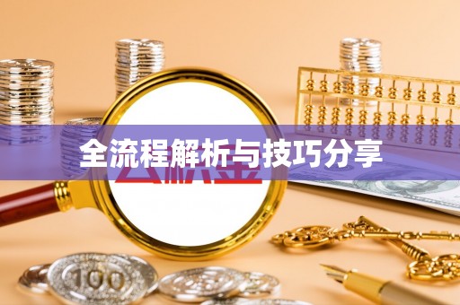 大雅全流程解析与技巧分享